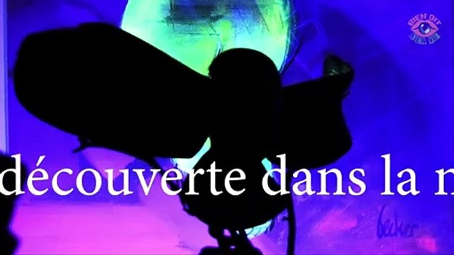La Chouette d'Or a été découverte ! / Les internautes dégoûtés par le teasing promis jusqu'au printemps 2025