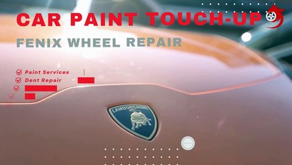 Car Paint Touch-Up Video