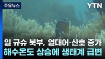 일 규슈 북부, 열대어·산호 증가...해수온도 상승에 생태계 급변 / YTN