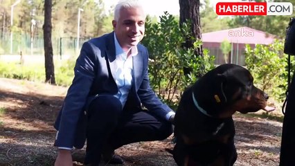 İETT, Sokak Hayvanları İçin Yuva Oluşturmaya Başladı