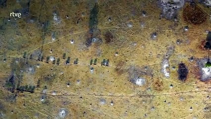 Documental Gladiadores - La charca