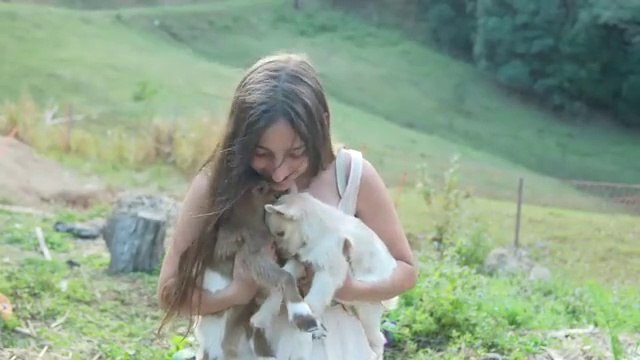 Exploring the Beauty of Spring in the Rainforest - Stunning Survey