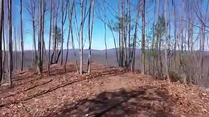 Your Dream Property: North Carolina Mountains Land for Sale