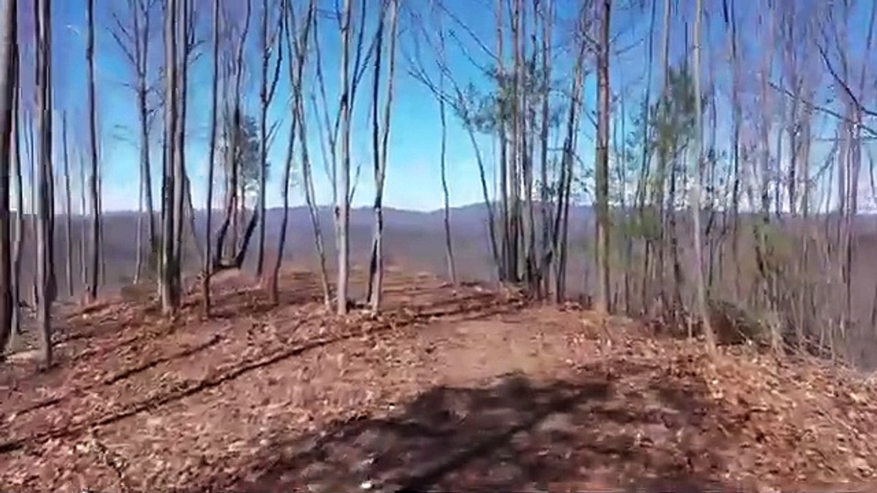 Your Dream Property: North Carolina Mountains Land for Sale