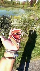 Jab aglay Saal yhi waqt a rha ho ga...