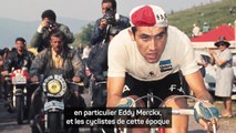 Interview - Pogacar : “Je n'aime pas les comparaisons avec d'autres personnes, en particulier Eddy Merckx”