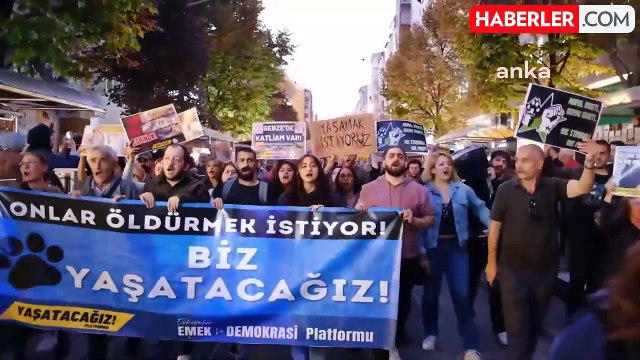 Gebze'de Yaşanan Hayvan Katliamı Eskişehir'de Protesto Edildi: Hayvan Dostlarımızı Yaşatacağız