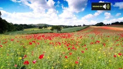 Saturday afternoon forecast 28/08/21