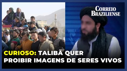 Talibã quer proibir imagens de seres vivos nos meios de comunicação no Afeganistão