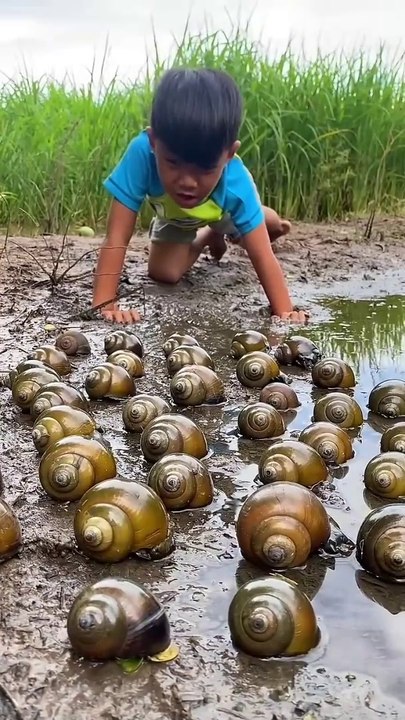 Survival Skills_ SIMPLE and USEFUL #bushcraft #camping #outdoors