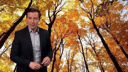 Saturday morning forecast 14/10/23