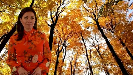 Wednesday evening forecast 11/10/23