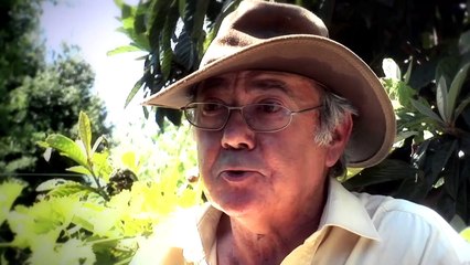 Vino veritas - 14 octobre