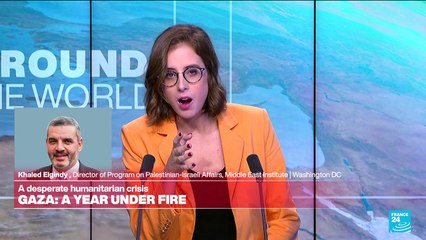 Gaza: A year under fire.