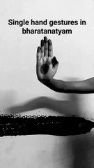 Gestures/ Mudras in Bharatanatyam - Asamyuta Hastas