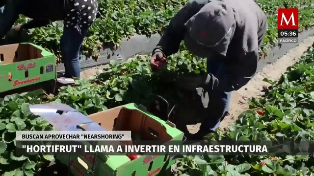 Hortifrut llama a invertir en infraestructura; buscan aprovechar nearshoring