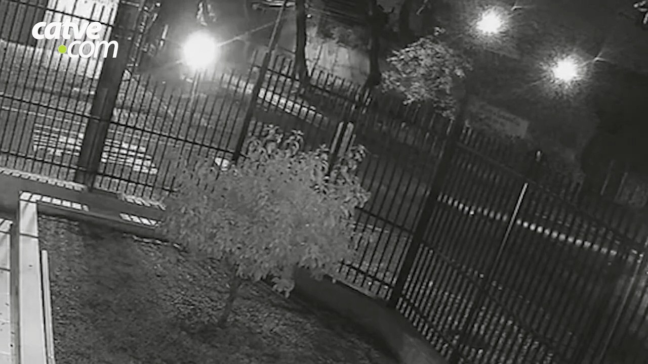 Polícia procura motorista que matou condutor de moto; ele fugiu do local sem prestar socorro.