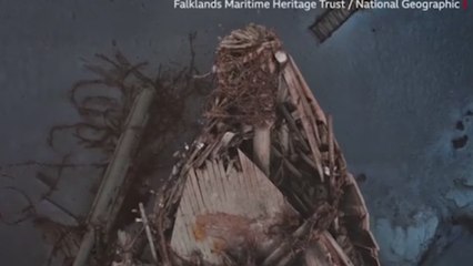 Télécharger la video: Impresionantes imágenes revelan misterios del barco perdido de Shackleton en las heladas aguas de la Antártida