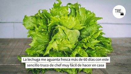 Скачать видео: La lechuga me aguanta fresca más de 60 días con este sencillo truco de chef muy fácil de hacer en casa