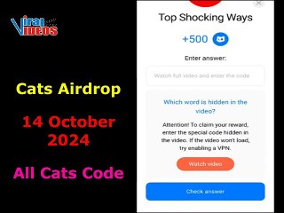 14 October 2024 | Cats Airdrop | Cats Video Codes