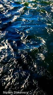 Nature Sounds ♬♬ with water sounds || Nature Discovers.......#shorts #naturesounds #natureshorts