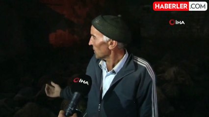 Kurtlar 66 Koyunu Telef Etti: Besici Yaşadığı Şoku Anlattı