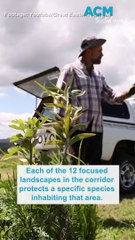 What are wildlife corridors?
