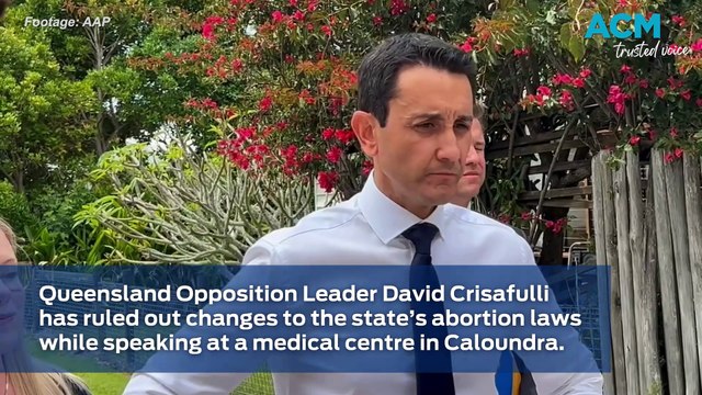 QLD opposition leader rules out changes to abortion laws
