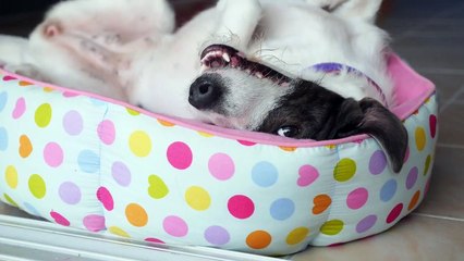 Home sweet home - Marcelo Gil Machado