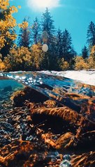 Relax with Viral ASMR Sounds 🎧