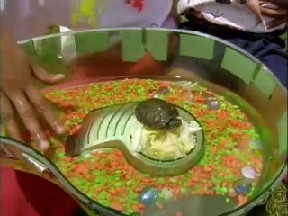 Plaza Sésamo: Mascotas