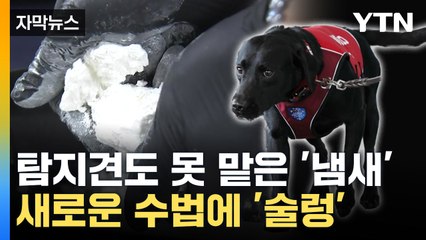 [자막뉴스] 냄새도 숨겼지만...액상 코카인 밀수해 보관한 20대 검거 / YTN