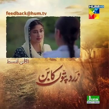 Zard Patton Ka Bunn Episode 24 | Zard Patton Ka Bunn drama new episode