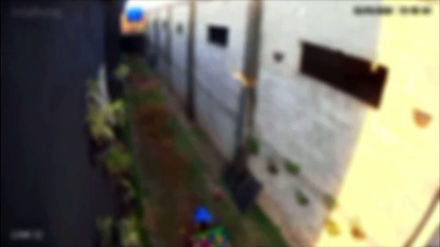 Criança pula muro de hospital veterinário e mata 23 animais com as próprias mãos