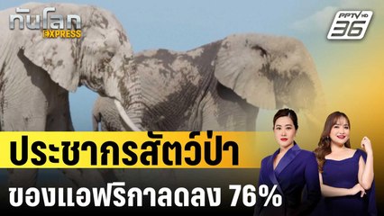 WWF เผยประชากรสัตว์ป่าของแอฟริกาลดลง 76% | ทันโลก EXPRESS | 15 ต.ค. 67