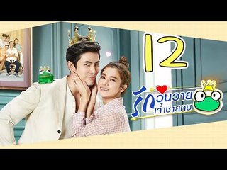 [Multi Sub] รักวุ่นวายเจ้าชายกบ EP12 王子变青蛙 Frog Prince 【泰语】