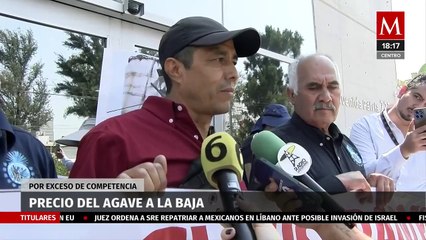 Cae precio del agave hasta los dos pesos por kilo por el exceso de competencia en Jalisco