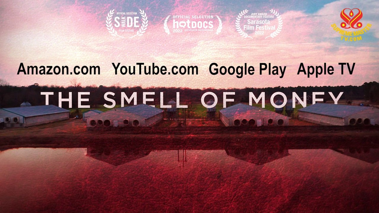 Documentary Trailer: The Smell of Money