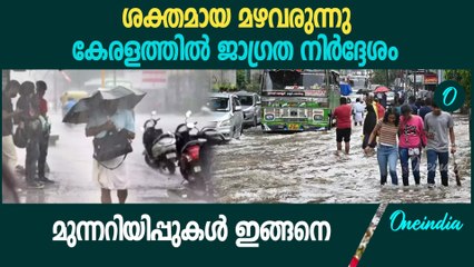 കേരളത്തിൽ വ്യാഴാഴ്ച വരെ ശക്തമായ മഴ;  ജാ​ഗ്രത നിർദ്ദേശം | Kerala Rain Alert