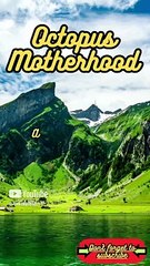 Animal Facts        Octopus Motherhood          #shorts