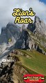 Animal Facts        Lion's Roar          #shorts
