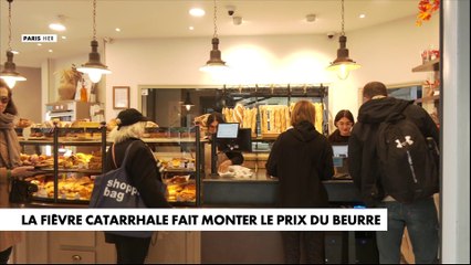 La fièvre catarrhale fait monter le prix du beurre