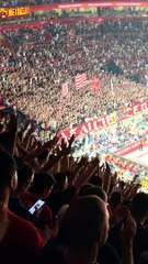 Delije Evroliga #crvenazvezda #basketball #euroleague