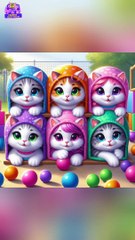 Cats Playing Hide and seek