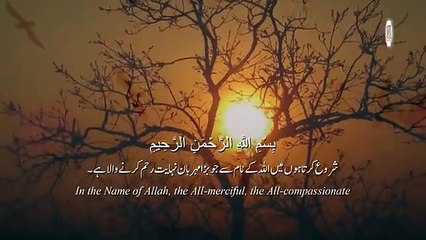 Relaxing Recitation of Surah Rahman _ Surah Rahman Tilawat with English & Urdu Subtitles