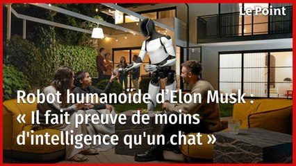 Robot humanoïde d’Elon Musk : « Il fait preuve de moins d'intelligence qu'un chat »