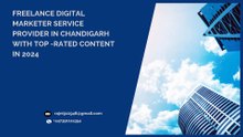 Freelance digital marketer service provider in chandigarh  with top -rated content IN 2024 (2) (1)