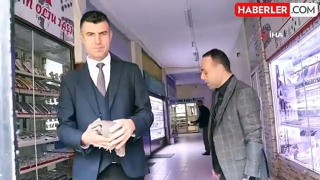 Erzurum'da Çarşıya Sığınan Kınalı Keklik Kurtarıldı