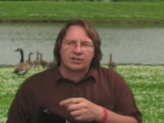 Holy Cow // Pure Heart Titus 1