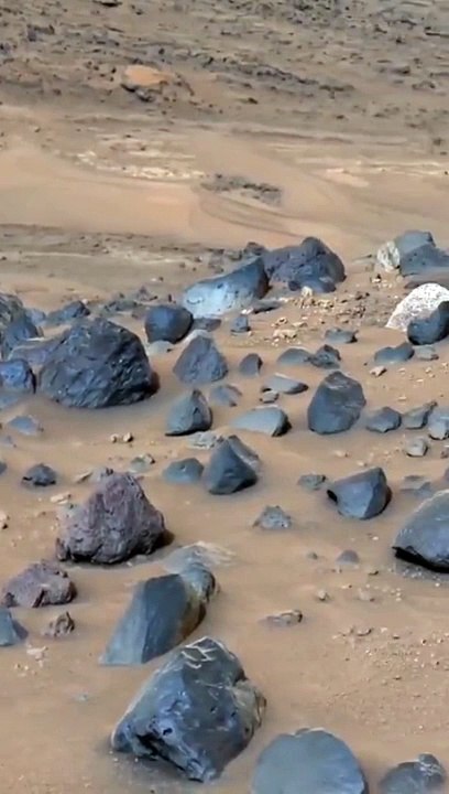 la nasa rilascia una vista della superficie di Marte